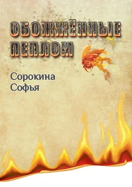 Софья Сорокина Обожжённые пеплом обложка книги