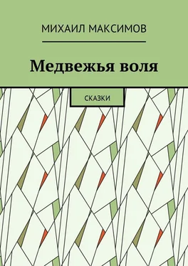 Михаил Максимов Медвежья воля. Сказки обложка книги