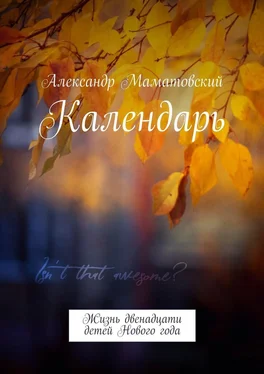 Александр Маматовский Календарь. Жизнь двенадцати детей Нового года обложка книги