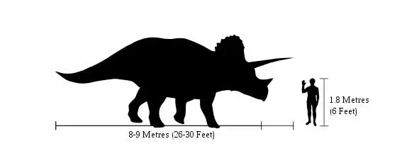 Humantriceratopssizecomparison Википедия Множество биовидов - фото 7