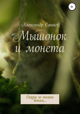 Александр Санаев Мышонок и монета обложка книги