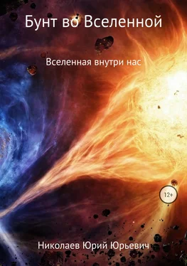 Юрий Николаев Бунт во Вселенной обложка книги