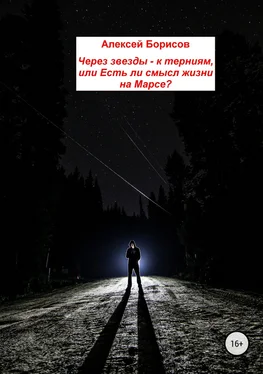 Алексей Борисов Через звезды – к терниям, или Есть ли смысл жизни на Марсе? обложка книги