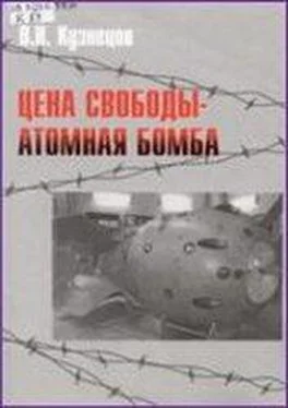 Виктор Кузнецов Цена свободы – атомная бомба обложка книги