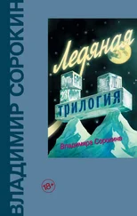 Владимир Сорокин - Ледяная трилогия (сборник)