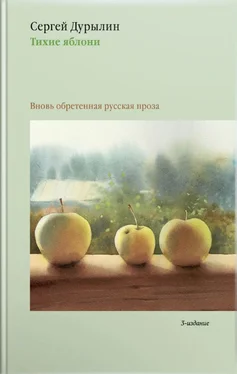 Сергей Дурылин Тихие яблони. Вновь обретенная русская проза обложка книги