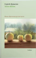 Сергей Дурылин - Тихие яблони. Вновь обретенная русская проза