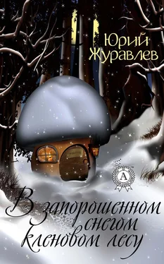 Юрий Журавлев В запорошенном снегом кленовом лесу обложка книги