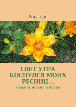 Лора Дан Свет утра коснулся моих ресниц… Сборник поэзии и прозы обложка книги