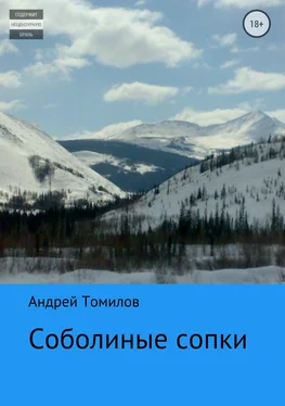 Андрей Томилов Соболиные сопки обложка книги