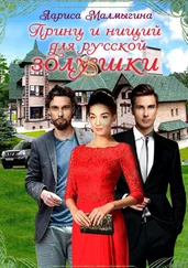 Лариса Малмыгина - Принц и нищий для русской золушки