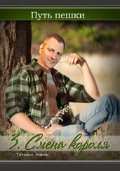 Татьяна Лемеш - Путь пешки. 3. Смена короля