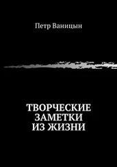 Петр Ваницын - Творческие заметки из жизни
