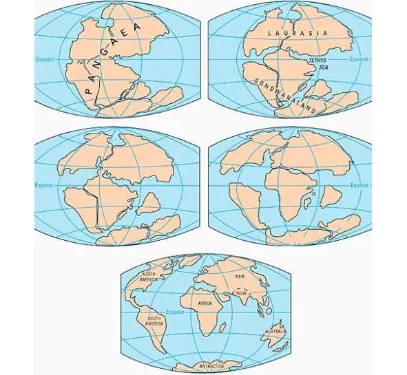Evolution of the continents from Laurasia Gondwana and Pangea to the modern - фото 14