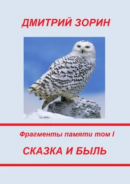 Дмитрий Зорин Сказка и быль. Фрагменты памяти. Том I обложка книги