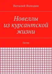 Виталий Володин - Новеллы из курсантской жизни. Питер