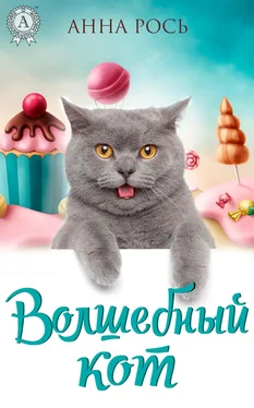 Анна Рось Волшебный кот обложка книги