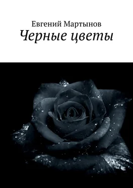 Евгений Мартынов Черные цветы обложка книги