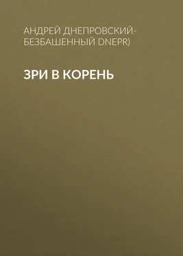 Андрей Днепровский-Безбашенный (A.DNEPR) Зри в корень обложка книги