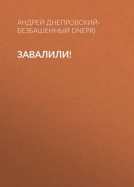 Андрей Днепровский-Безбашенный (A.DNEPR) Завалили! обложка книги