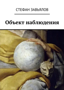 Стефан Завьялов Объект наблюдения обложка книги
