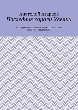 Анатолий Агарков Последние короли Увелки обложка книги