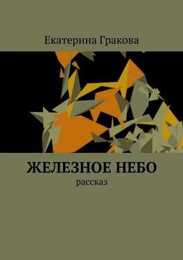 Екатерина Гракова Железное небо. Рассказ обложка книги