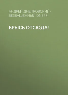 Андрей Днепровский-Безбашенный (A.DNEPR) Брысь отсюда! обложка книги