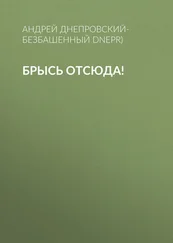 Андрей Днепровский-Безбашенный (A.DNEPR) - Брысь отсюда!