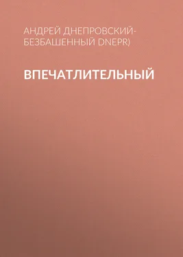 Андрей Днепровский-Безбашенный (A.DNEPR) Впечатлительный обложка книги