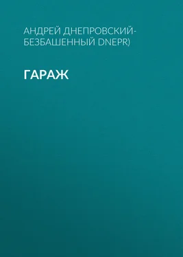 Андрей Днепровский-Безбашенный (A.DNEPR) Гараж обложка книги