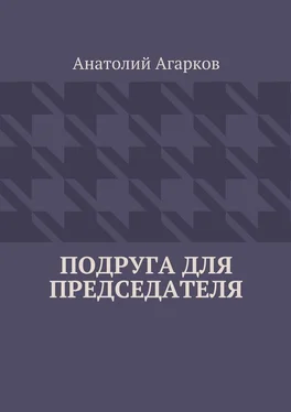 Анатолий Агарков Подруга для председателя обложка книги