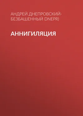 Андрей Днепровский-Безбашенный (A.DNEPR) Аннигиляция обложка книги