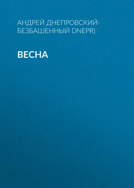Андрей Днепровский-Безбашенный (A.DNEPR) Весна обложка книги