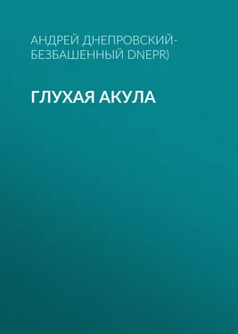 Андрей Днепровский-Безбашенный (A.DNEPR) Глухая акула обложка книги