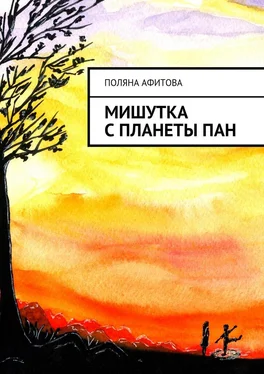 Поляна Афитова Мишутка с планеты ПАН обложка книги