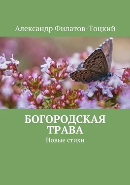 Александр Филатов-Тоцкий Богородская трава. Новые стихи