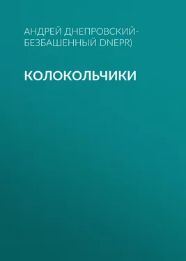 Андрей Днепровский-Безбашенный (A.DNEPR) Колокольчики обложка книги