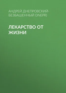 Андрей Днепровский-Безбашенный (A.DNEPR) Лекарство от жизни обложка книги