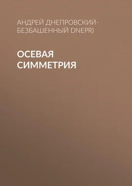 Андрей Днепровский-Безбашенный (A.DNEPR) Осевая симметрия обложка книги