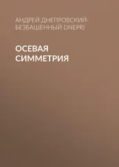 Андрей Днепровский-Безбашенный (A.DNEPR) - Осевая симметрия