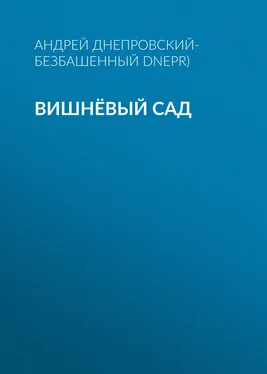 Андрей Днепровский-Безбашенный (A.DNEPR) Вишнёвый сад обложка книги