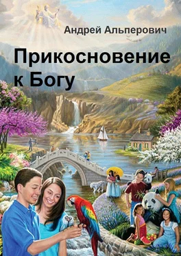 Андрей Альперович Прикосновение к Богу обложка книги