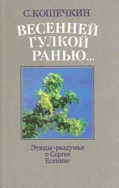 С. Кошечкин Весенней гулкой ранью... обложка книги