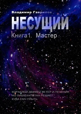 Владимир Гаврилов Несущий. Книга 1. Мастер обложка книги