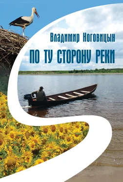 Владимир Ноговицын По ту сторону реки (сборник)