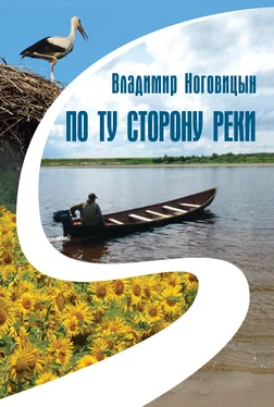 Владимир Ноговицын По ту сторону реки (сборник) обложка книги