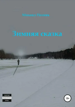 Михаил Позняк Зимняя сказка обложка книги