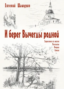 Евгений Шашурин И берег Вычегды родной (сборник) обложка книги