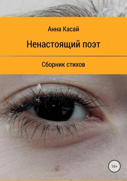 Анна Касай Ненастоящий поэт обложка книги